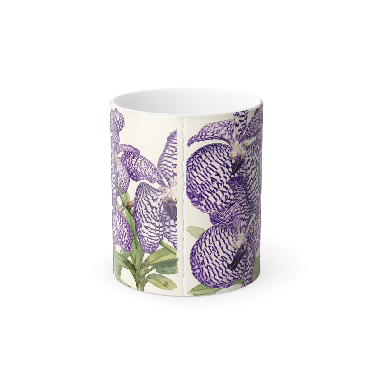 Vanda coerulea Purple Vanda Orchid Illustration Mug | Color Morphing 11oz