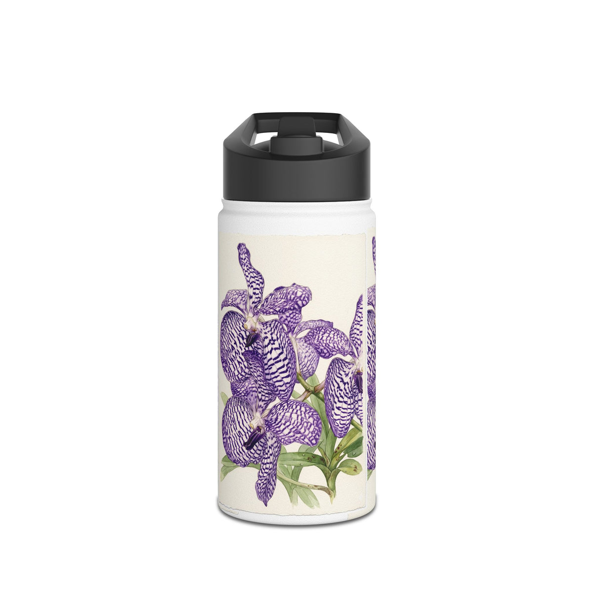 Vanda coerulea Purple Iris Illustration Stainless Steel Water Bottle | Floral Vanda Orchid