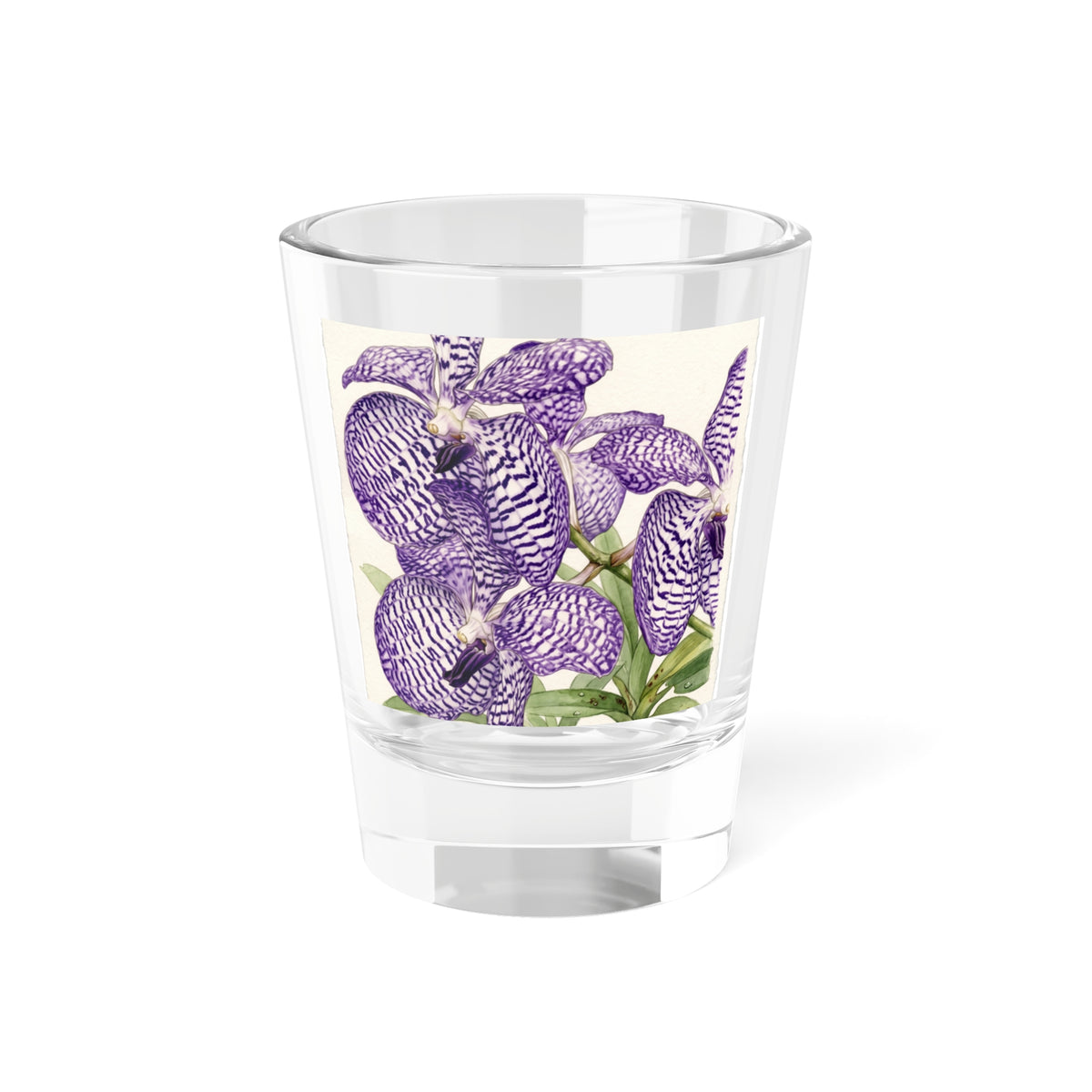 Vanda coerulea Purple Orchid Illustration Shot Glass | Floral Botanical Barware