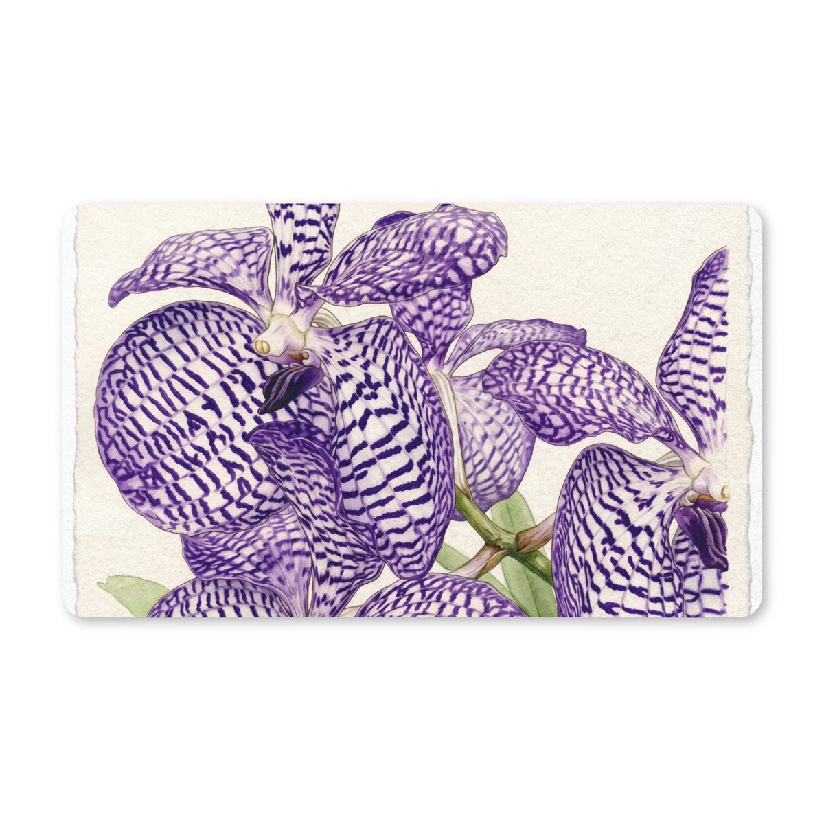 Purple Vanda Orchid Illustration Polyester Doormat | Floral, Botanical, Indoor Entrance