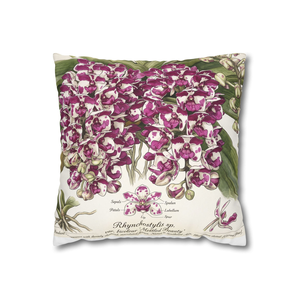 Rhynchostylis gigantea Vintage Orchid Botanical Square Pillowcase | Purple Floral Pillow