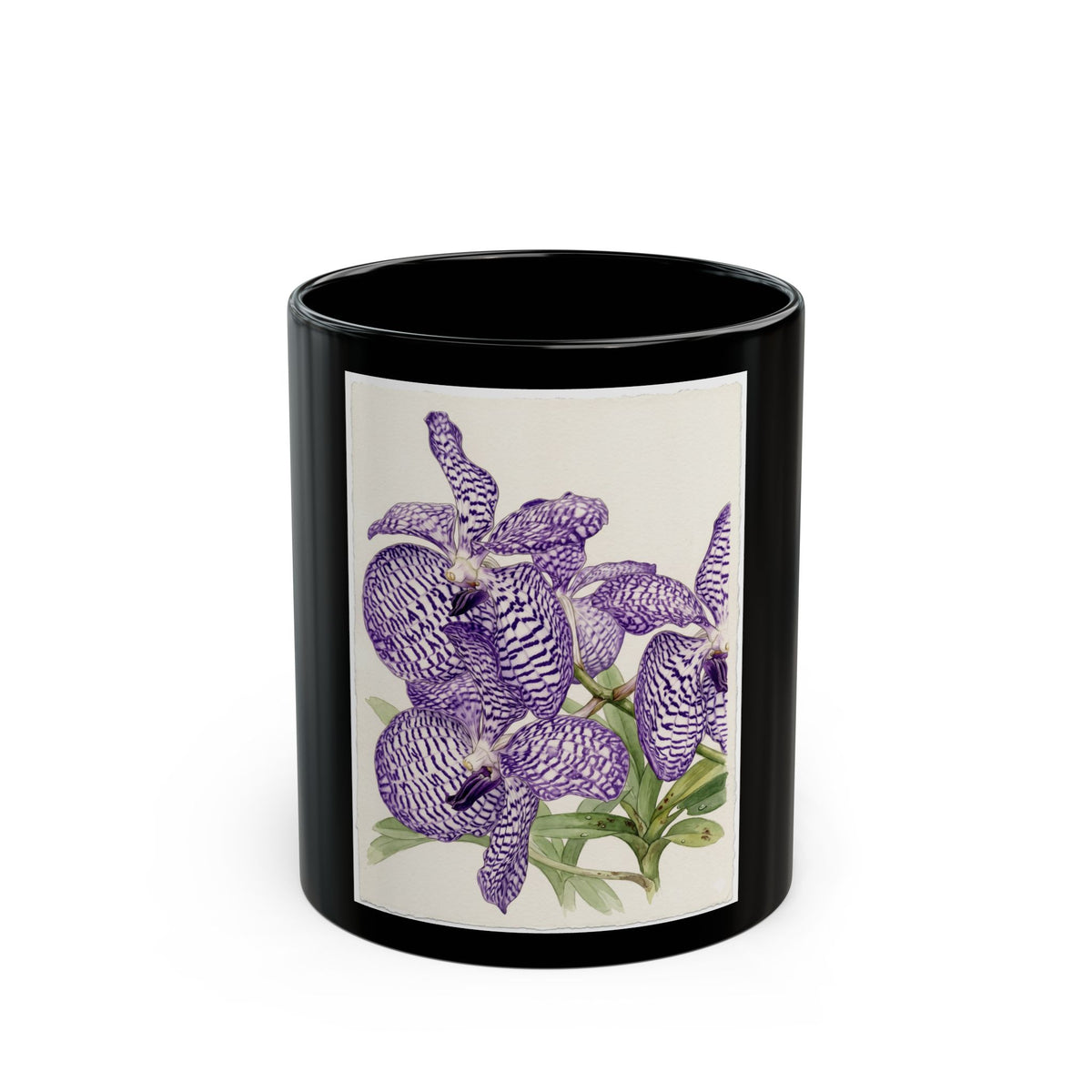Vanda coerulea Purple Orchid Illustration Mug | Black Ceramic 11oz 15oz
