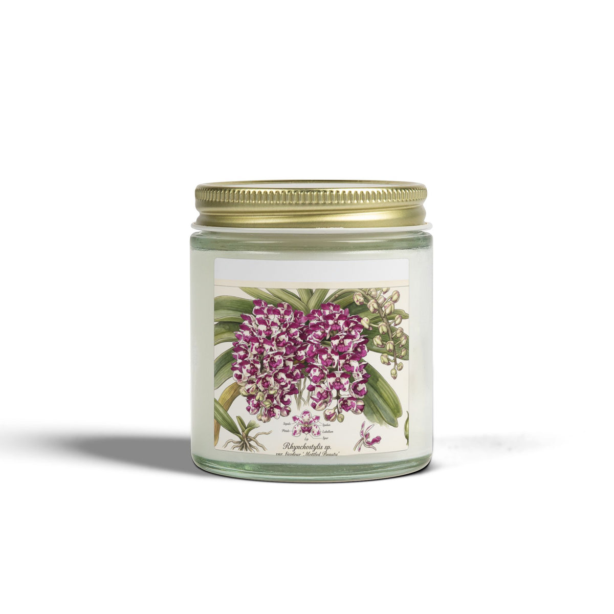 Pink Orchid Botanical Candle, Scented Soy Wax Jar | Coconut Apricot 4oz-9oz