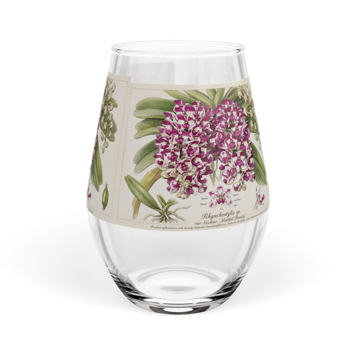 Pink Orchid Floral Print Stemless Wine Glass | 11.75oz