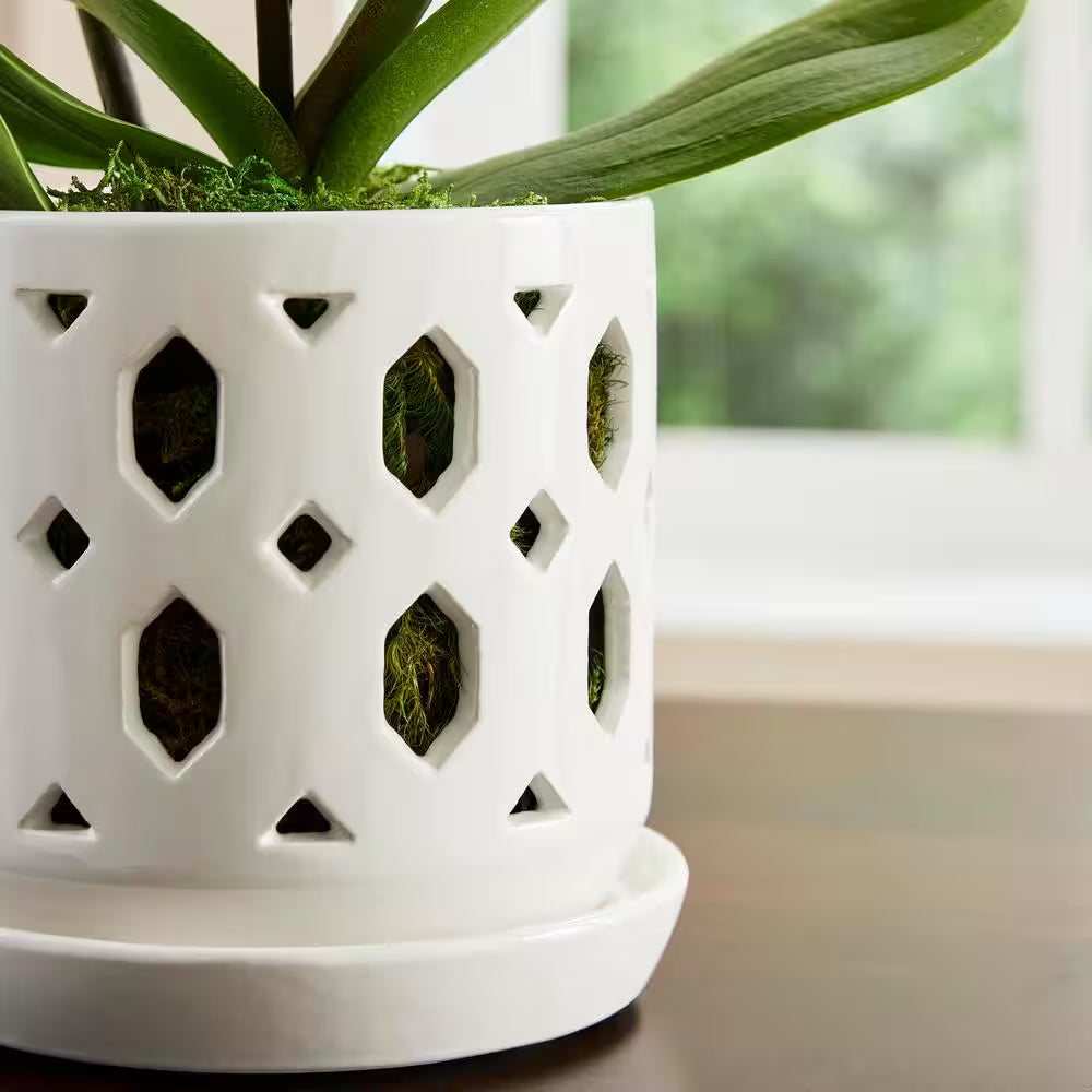 Dixie Small White Ceramic round Orchid Planter with Drainage Holes and Attached Saucer (5 In. L X 5 In. W X 5 In. H)