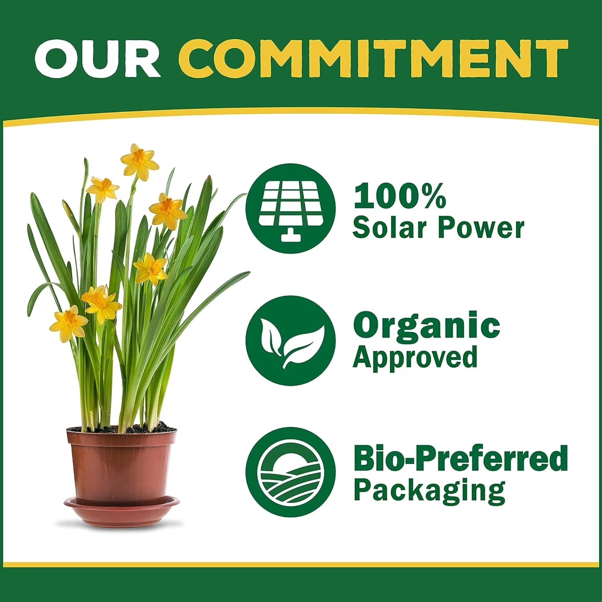 Organic Orchid Bloom Booster Plant Food, 1-3-1 Fertilizer, 8 Oz.