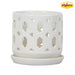 Dixie Small White Ceramic round Orchid Planter with Drainage Holes and Attached Saucer (5 In. L X 5 In. W X 5 In. H)
