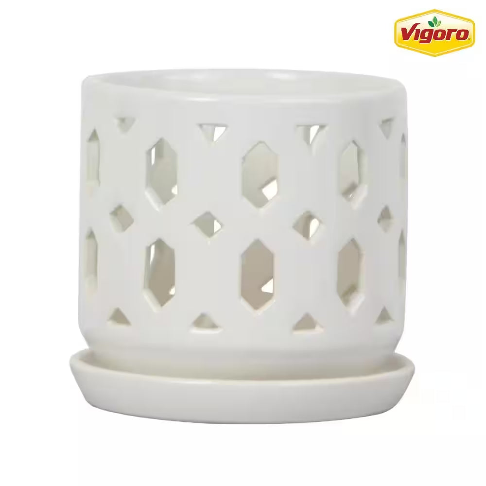 Dixie Small White Ceramic round Orchid Planter with Drainage Holes and Attached Saucer (5 In. L X 5 In. W X 5 In. H)