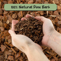 100% Organic Orchid Potting Bark (2 Quarts), All-Natural Usa-Sourced Pine Bark Orchid Mix Additive