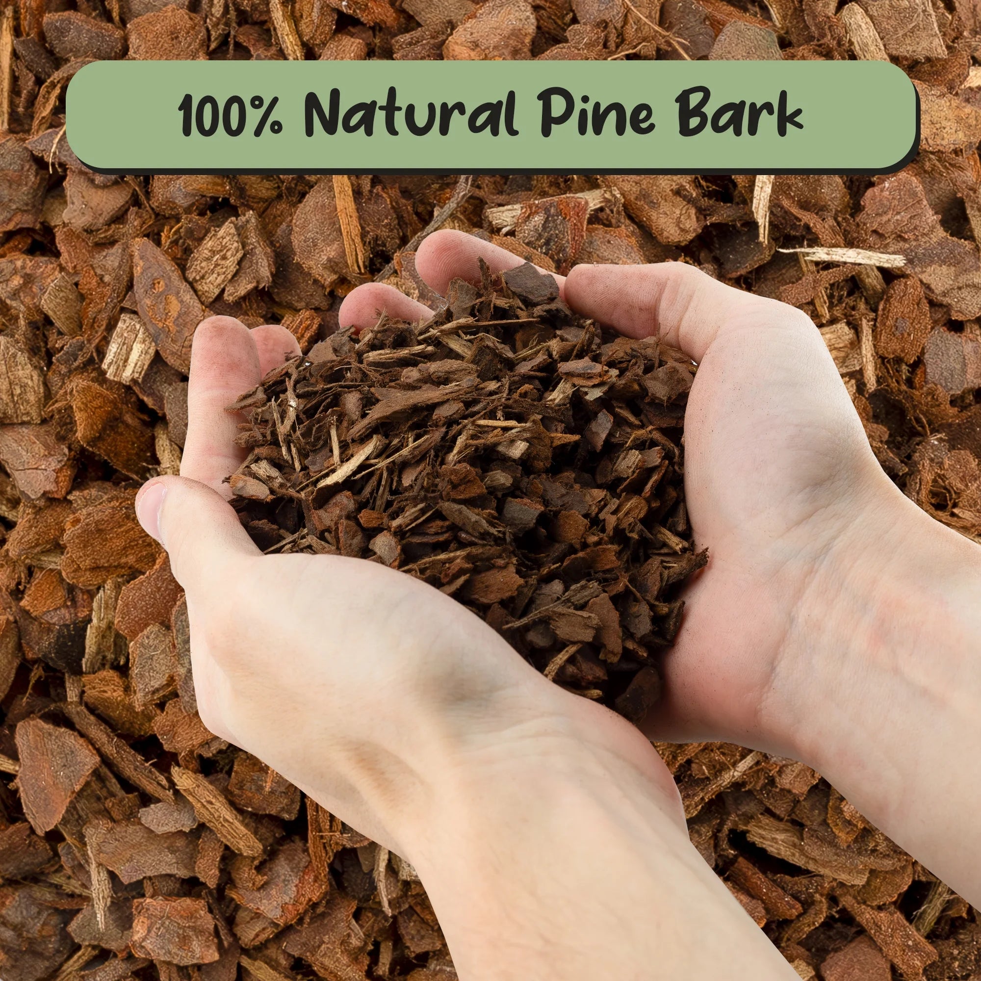 100% Organic Orchid Potting Bark (2 Quarts), All-Natural Usa-Sourced Pine Bark Orchid Mix Additive