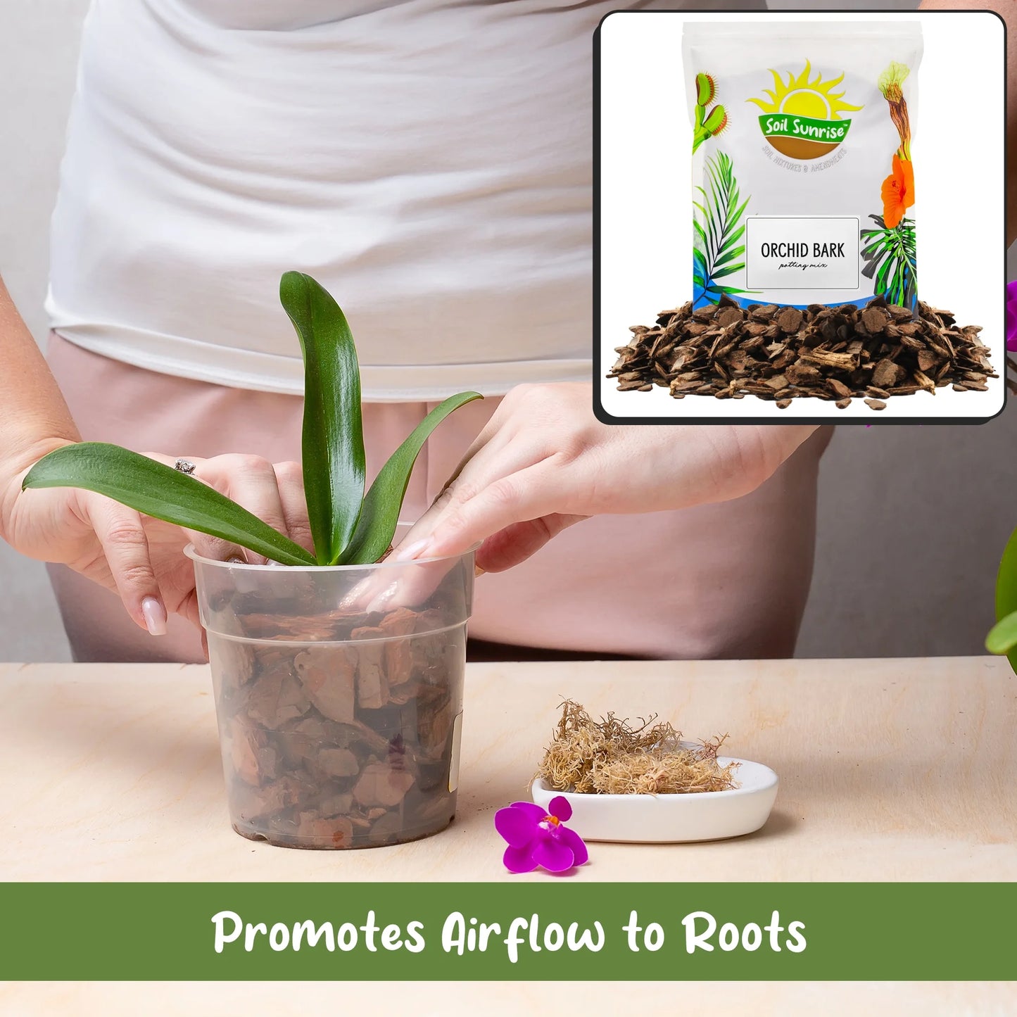 100% Organic Orchid Potting Bark (2 Quarts), All-Natural Usa-Sourced Pine Bark Orchid Mix Additive