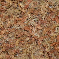 1/8 Cu. Ft. Premium Grade Orchid Moss (2-Pack)
