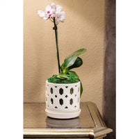 Dixie Small White Ceramic round Orchid Planter with Drainage Holes and Attached Saucer (5 In. L X 5 In. W X 5 In. H)