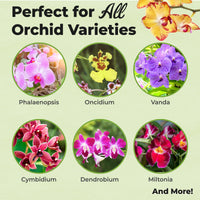 Orchid Food Mist