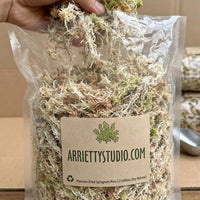Laos Sphagnum Moss – Orchid Plant Growing Medium, Clean & Selection