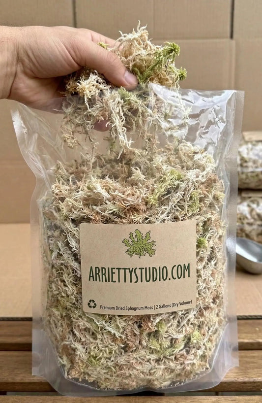 Laos Sphagnum Moss – Orchid Plant Growing Medium, Clean & Selection